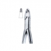 Extracting Forceps American Pattern